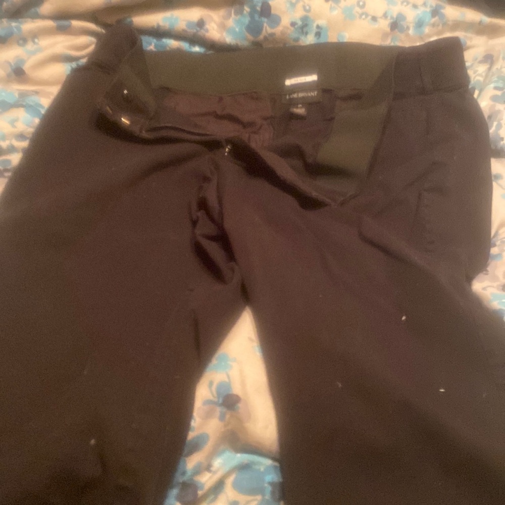 Lane Bryant dress capris size 24